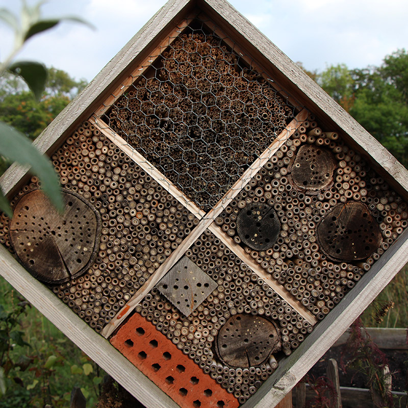 Voorbeeld van de toepassing van deze maatregel