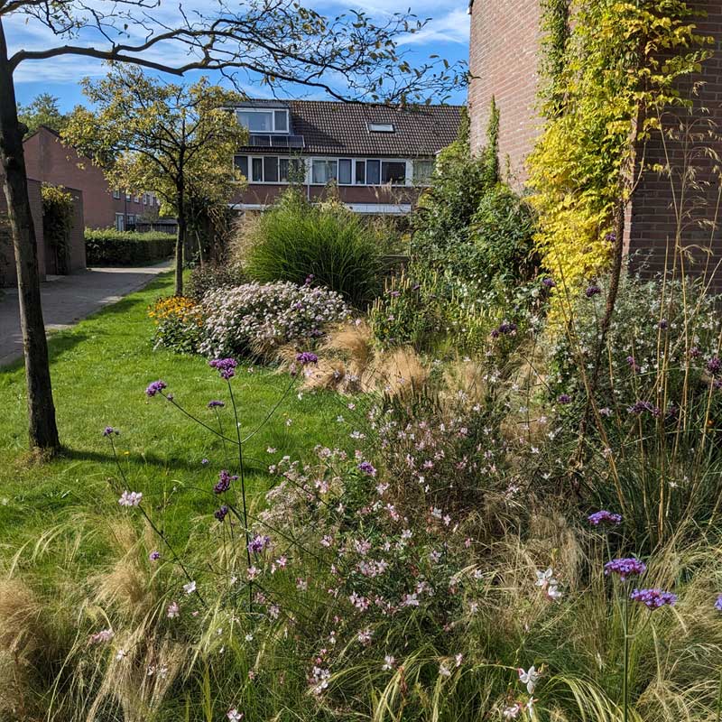 Voorbeeld van de toepassing van deze maatregel