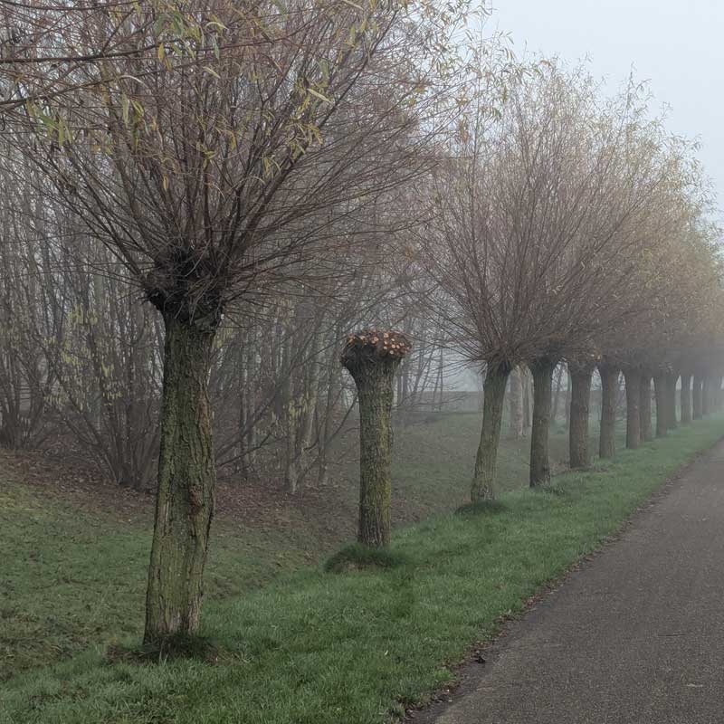 Voorbeeld van de toepassing van deze maatregel