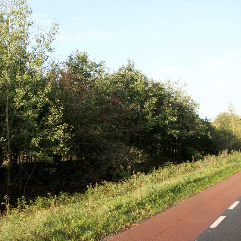 Voorbeeld van de toepassing van deze maatregel