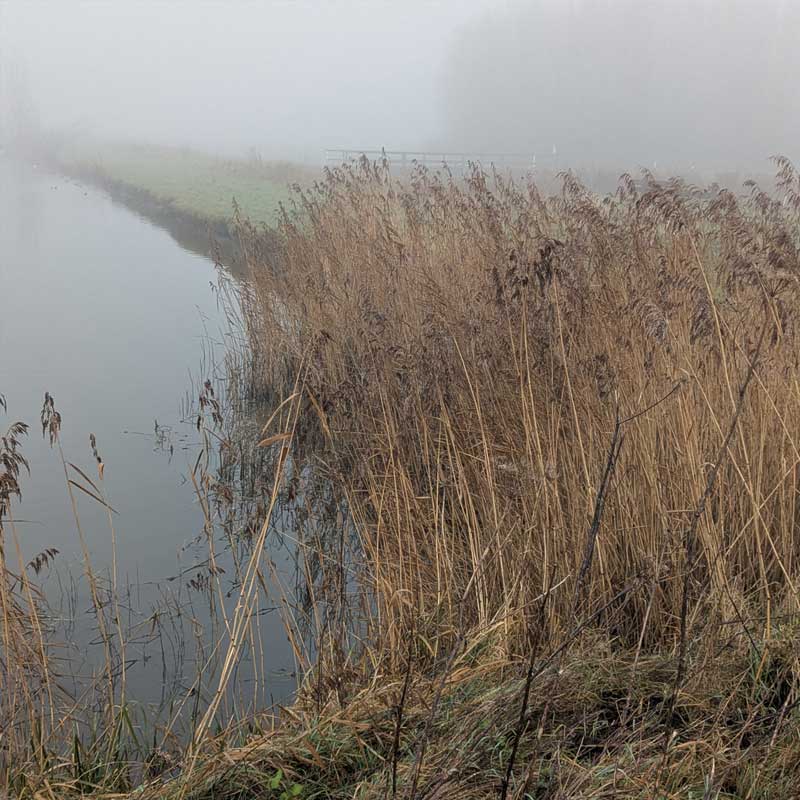 Voorbeeld van de toepassing van deze maatregel